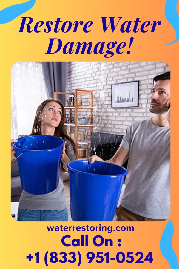 water restoration Eco Cleanup LLC Wilder