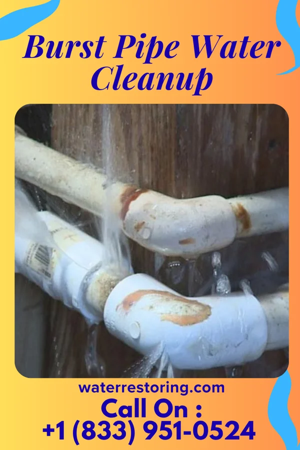 Burst Pipe Water Cleanup in Wilder, KY