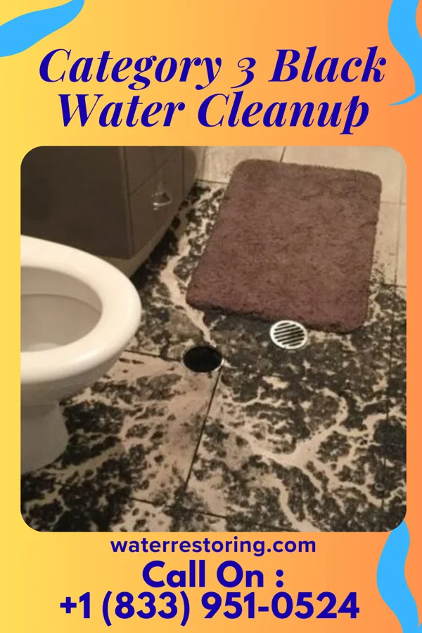 Category 3 Black Water Cleanup in Wilder, KY