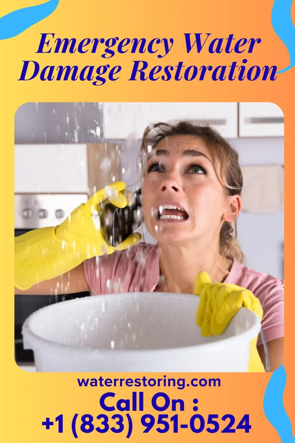 Emergency Water Damage Restoration in Wilder, KY