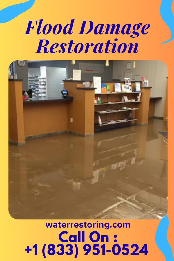 Flood Damage Restoration in Wilder, KY