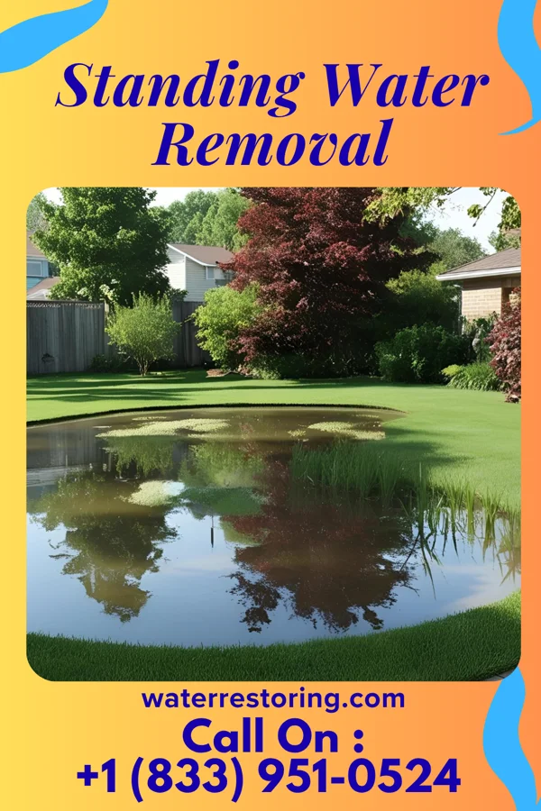 Standing Water Removal in Wilder, KY